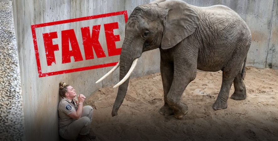 A verdade em risco: vídeos falsos de IA turbinam crise de desinformação nas redes sociais 